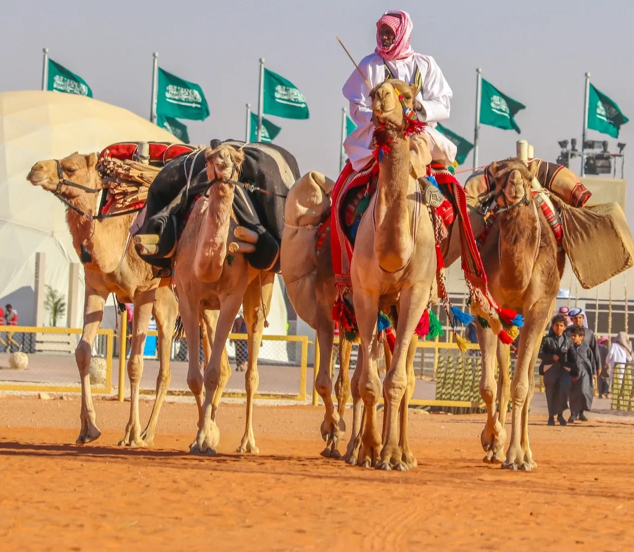 King Abdulaziz Camel Festival