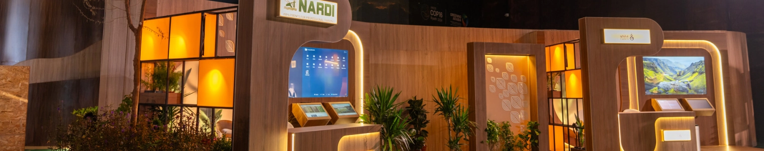 Exhibitions & Pavillons